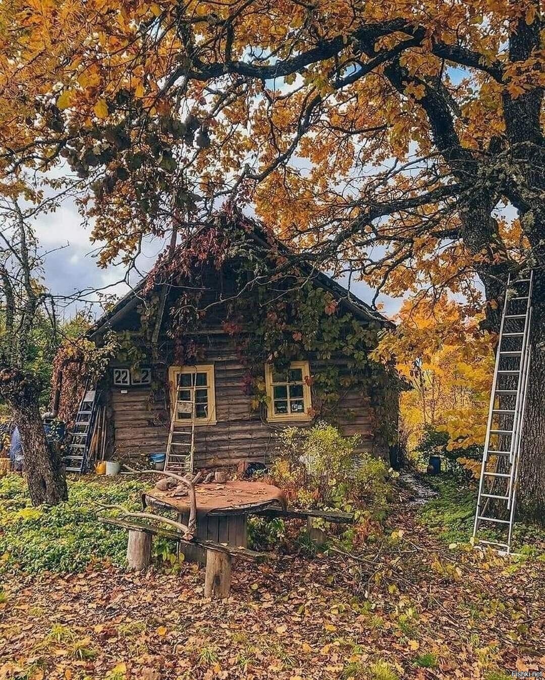 Солянка