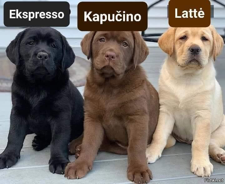 Особенно мил ЭКСрессо