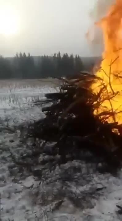 Солянка