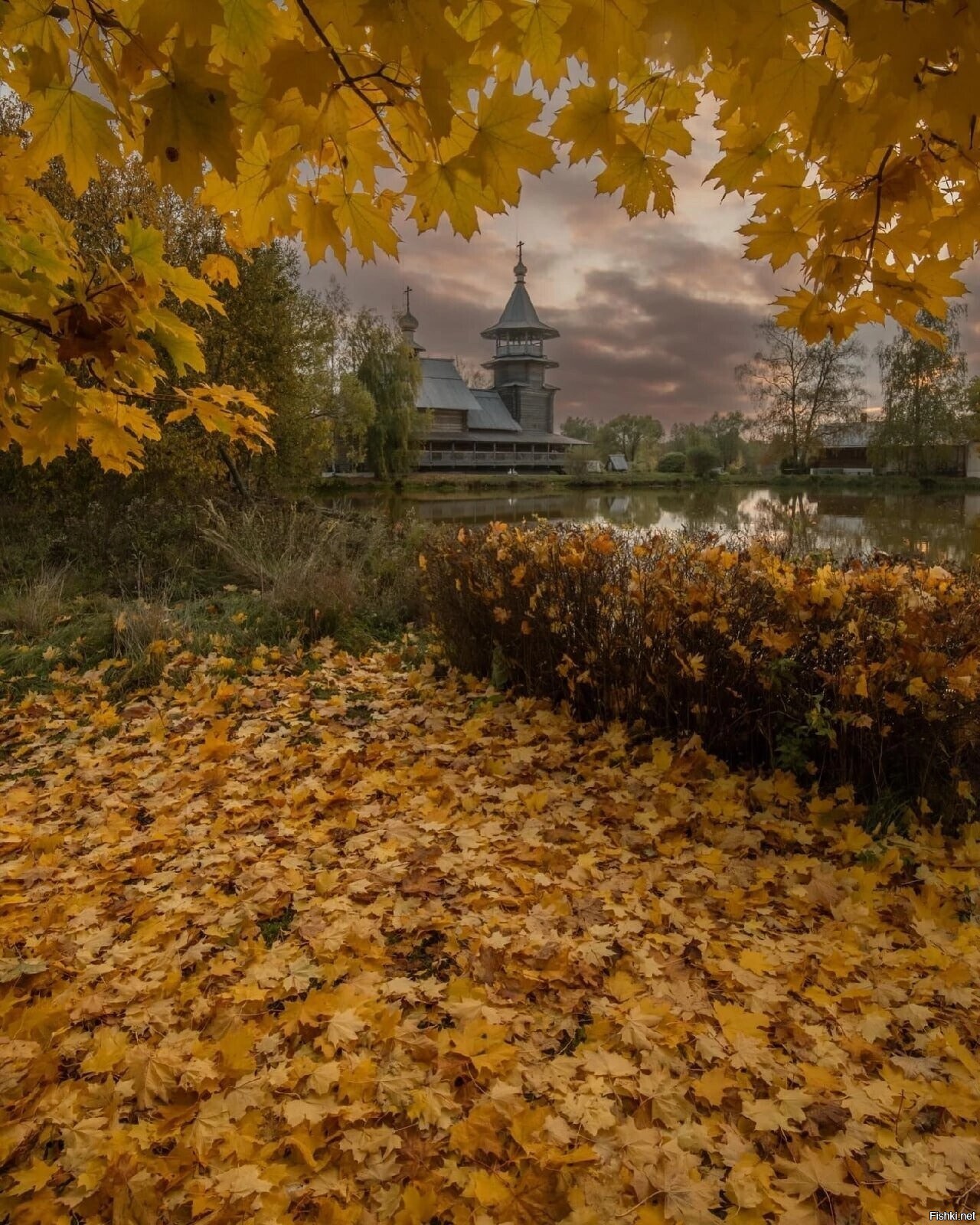 Солянка