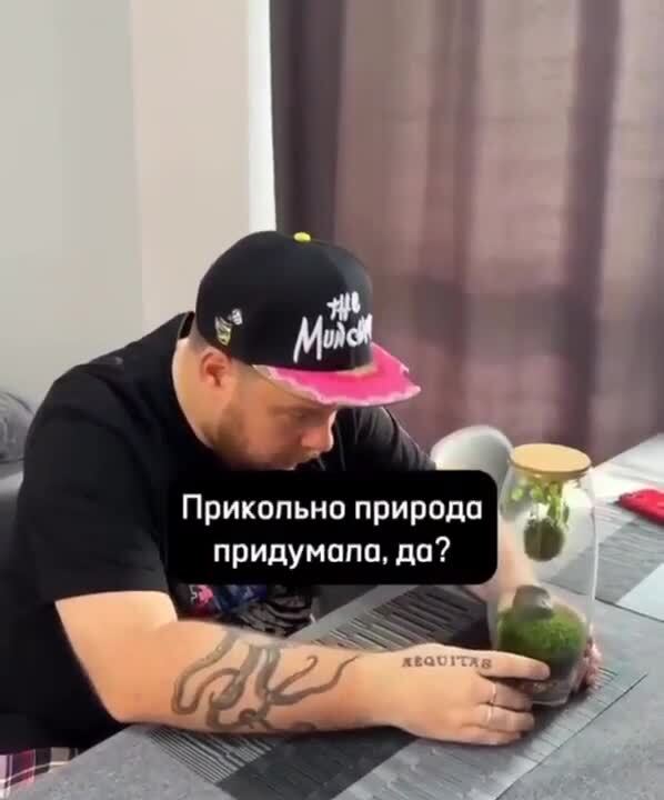 Солянка