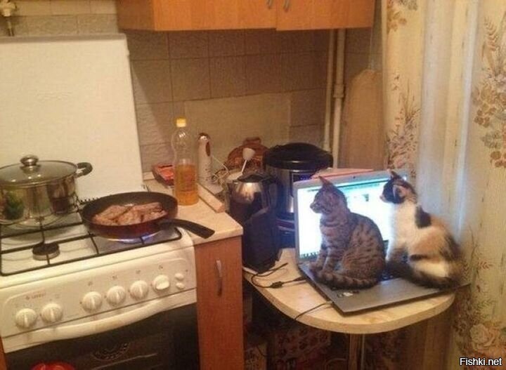 Солянка