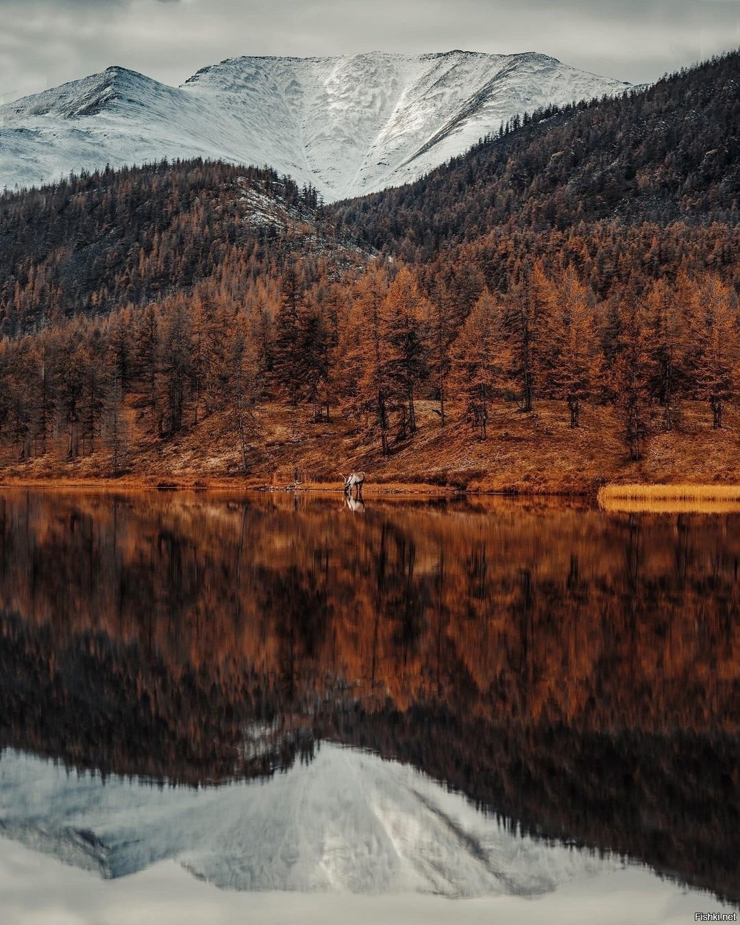 Природа Якутии