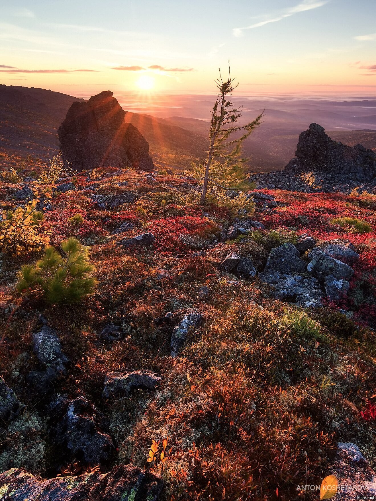 Солянка