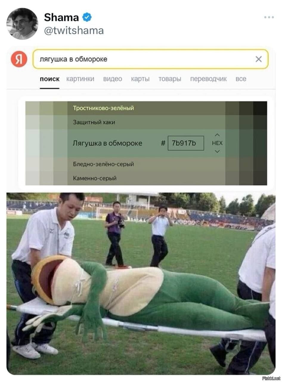 Солянка