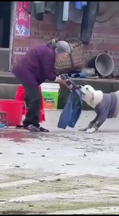 Солянка