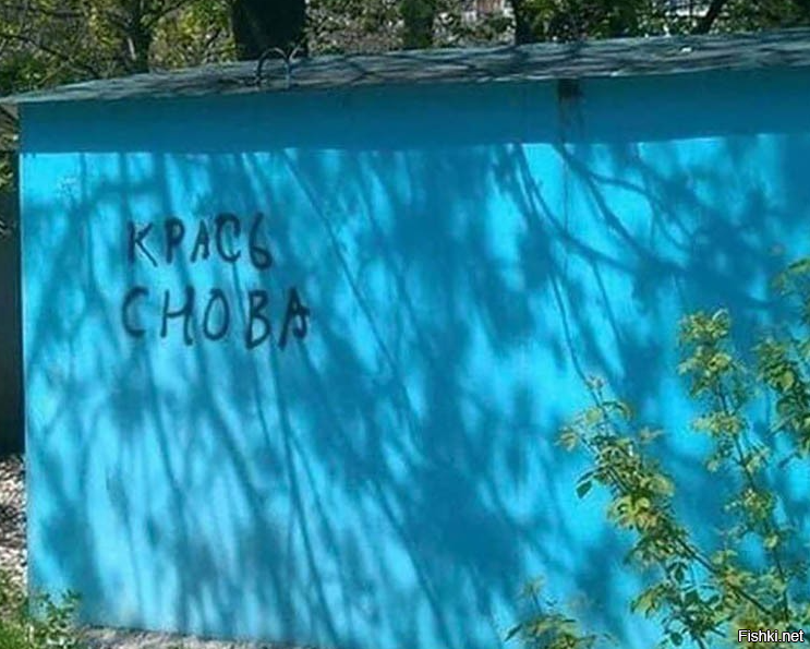 Солянка
