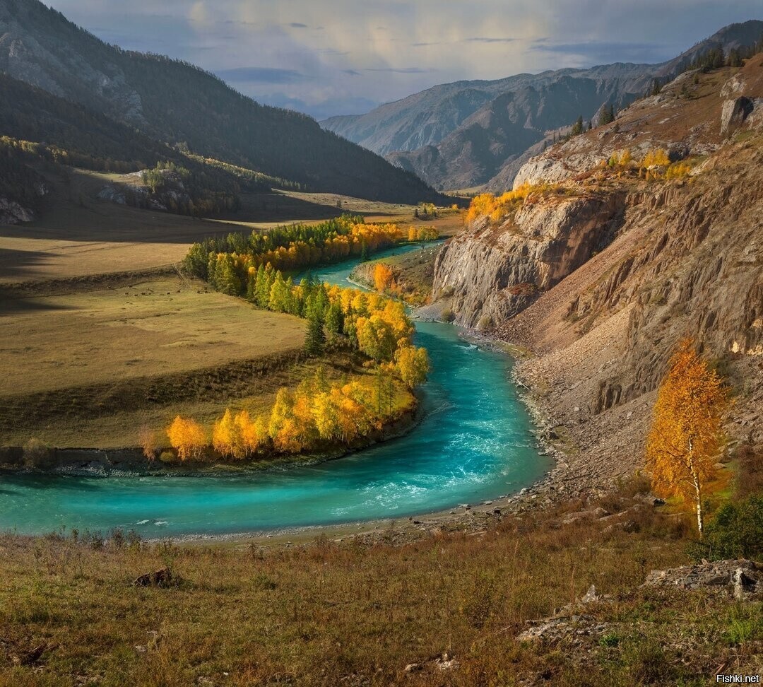 АЛТАЙ