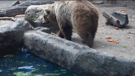 Помог