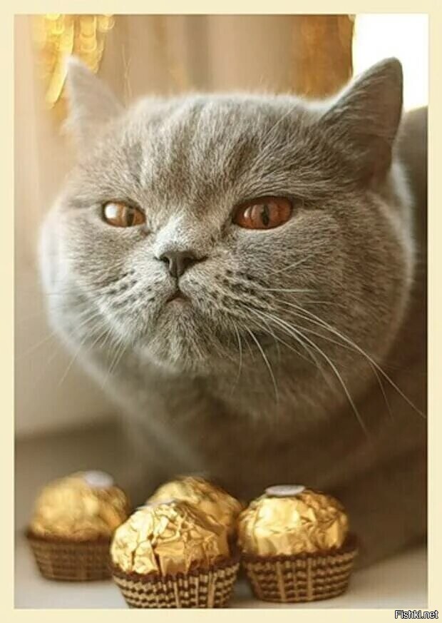 Доброе утро