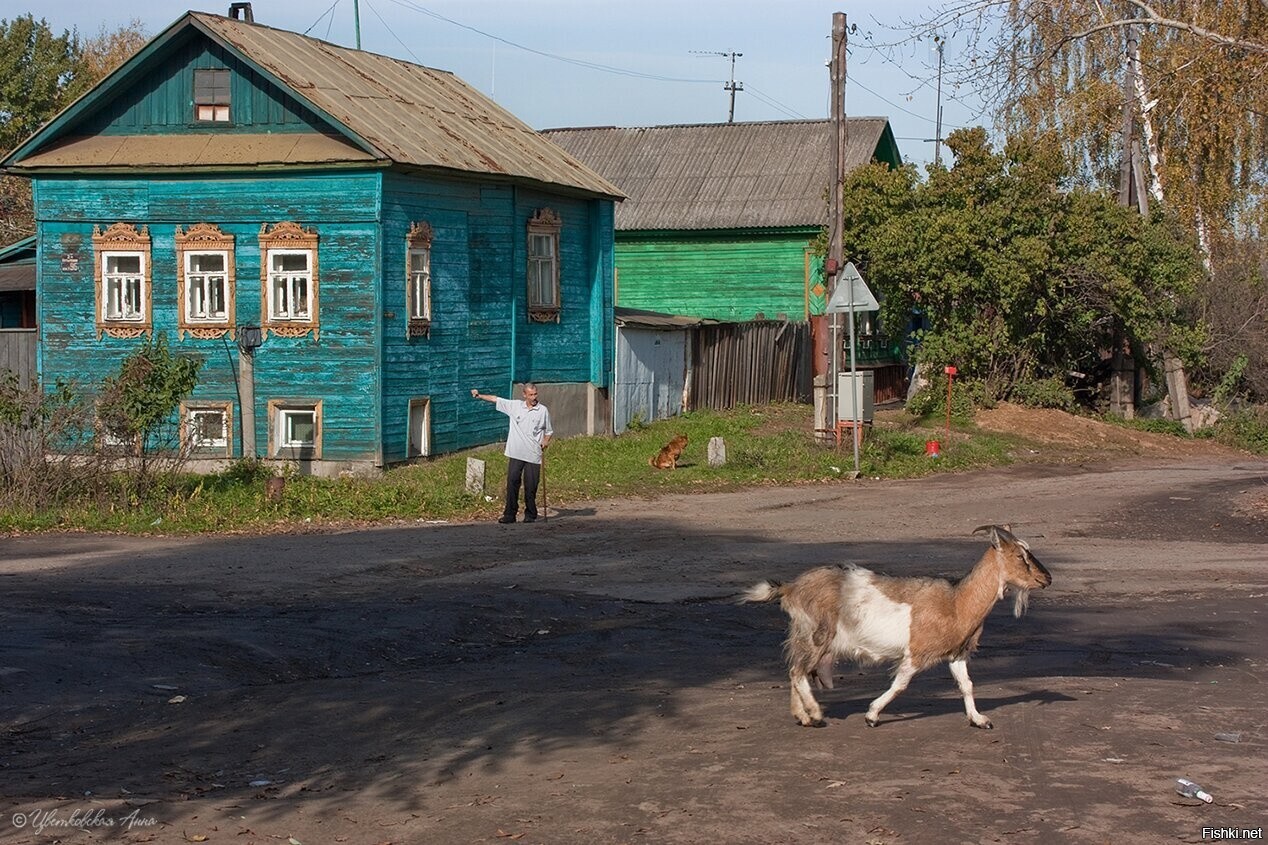 - А ну домой пошла
