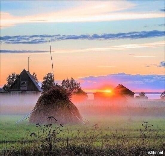 Солянка