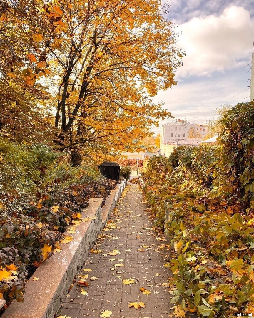 Морозовский сад, Москва