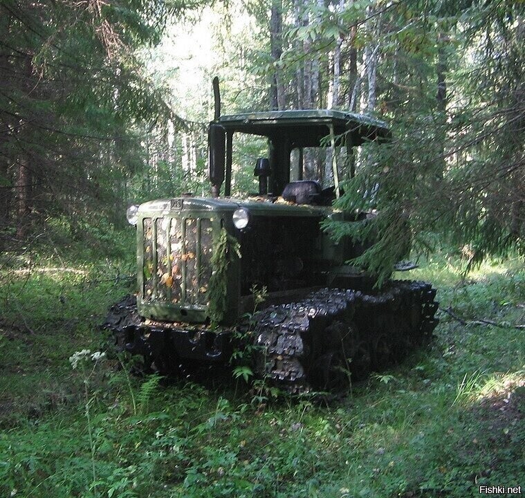 Солянка