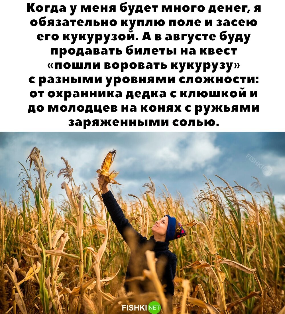 Улыбатор