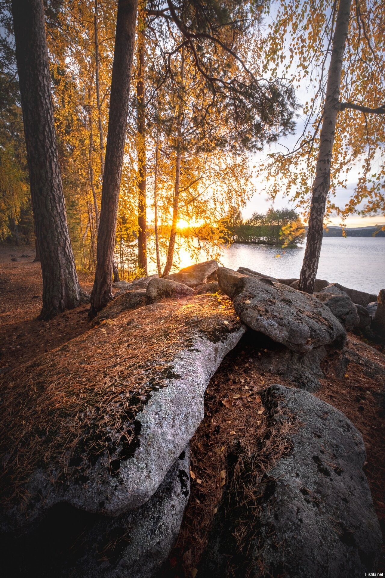 Солянка
