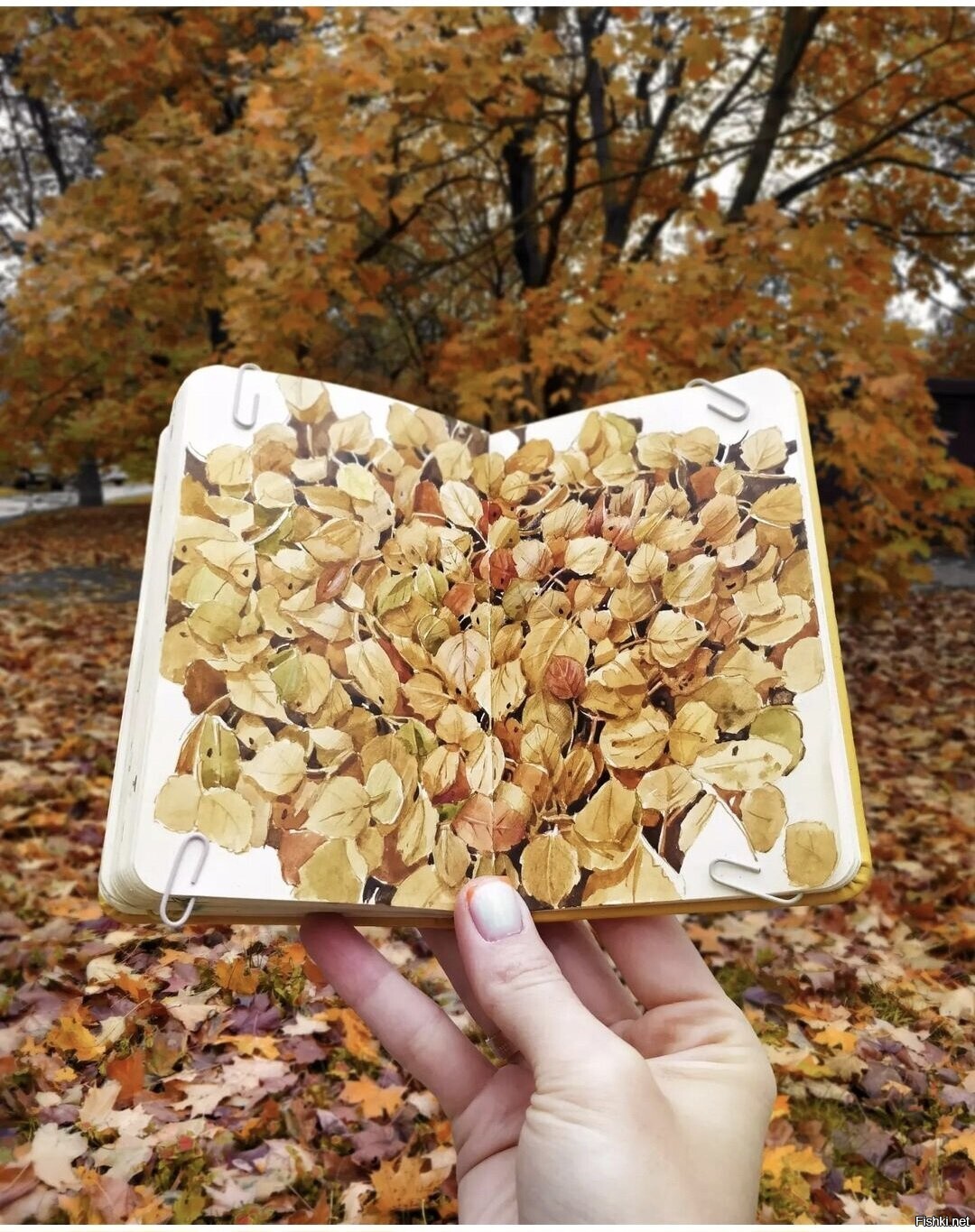 Солянка