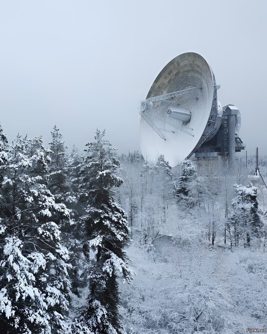 Солянка