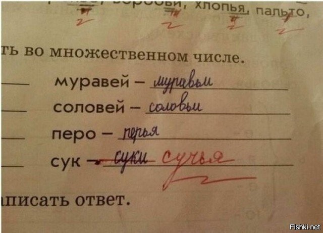 Солянка