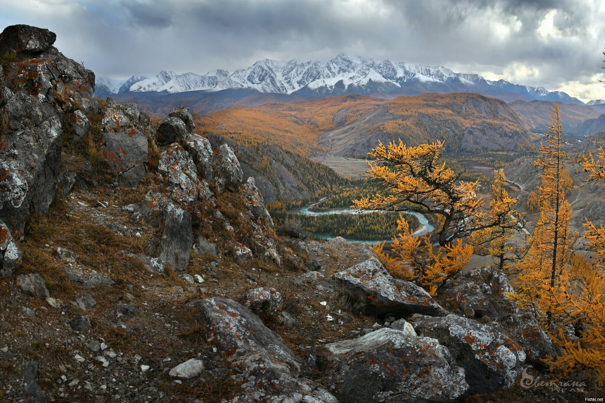 Солянка