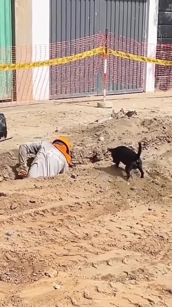 Командная работа)