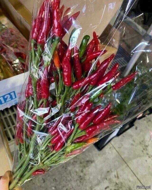 Солянка