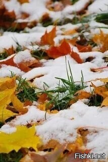 С добрым утром