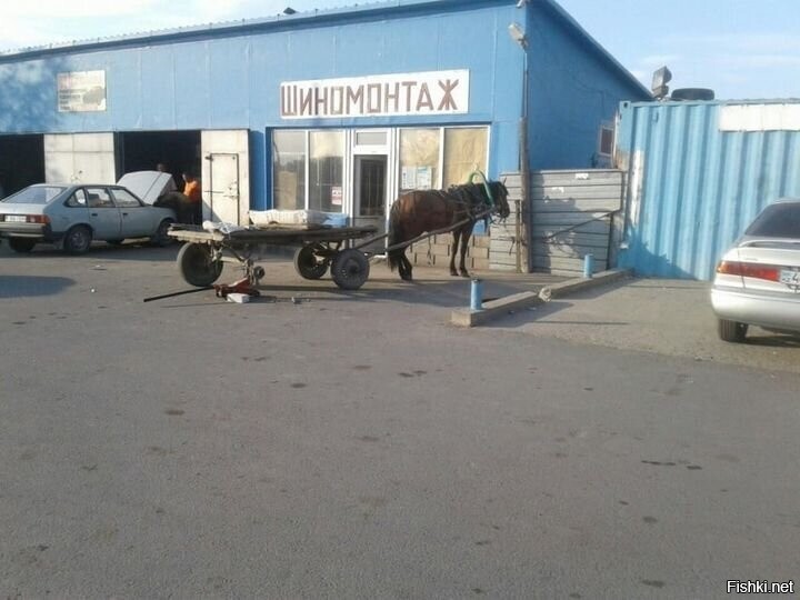 Даже лошадь знает, что перед зимой нужно менять шины на своей повозке