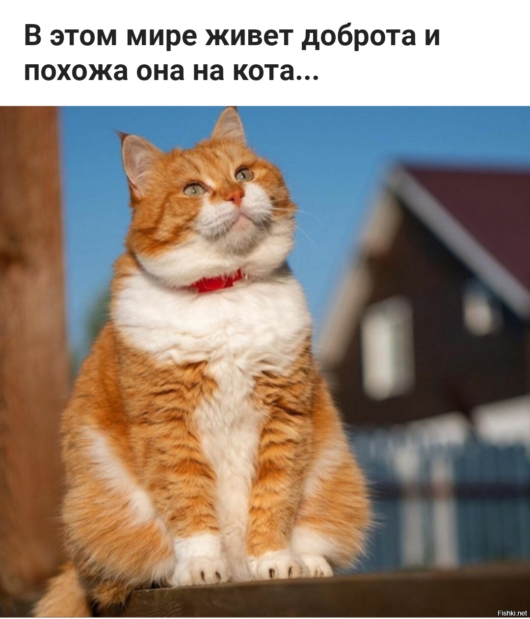 С добрым утром