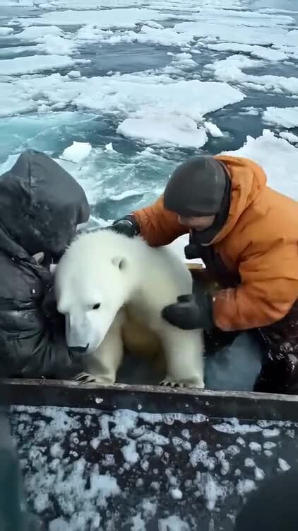- Я маму потерял