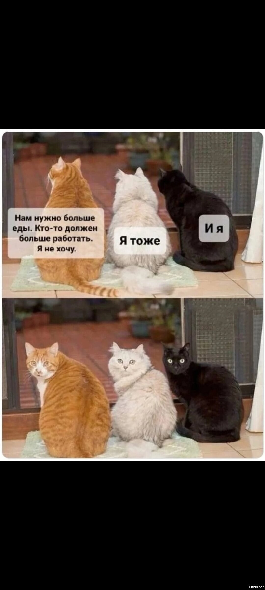 Работа-работа перейди на Федота
