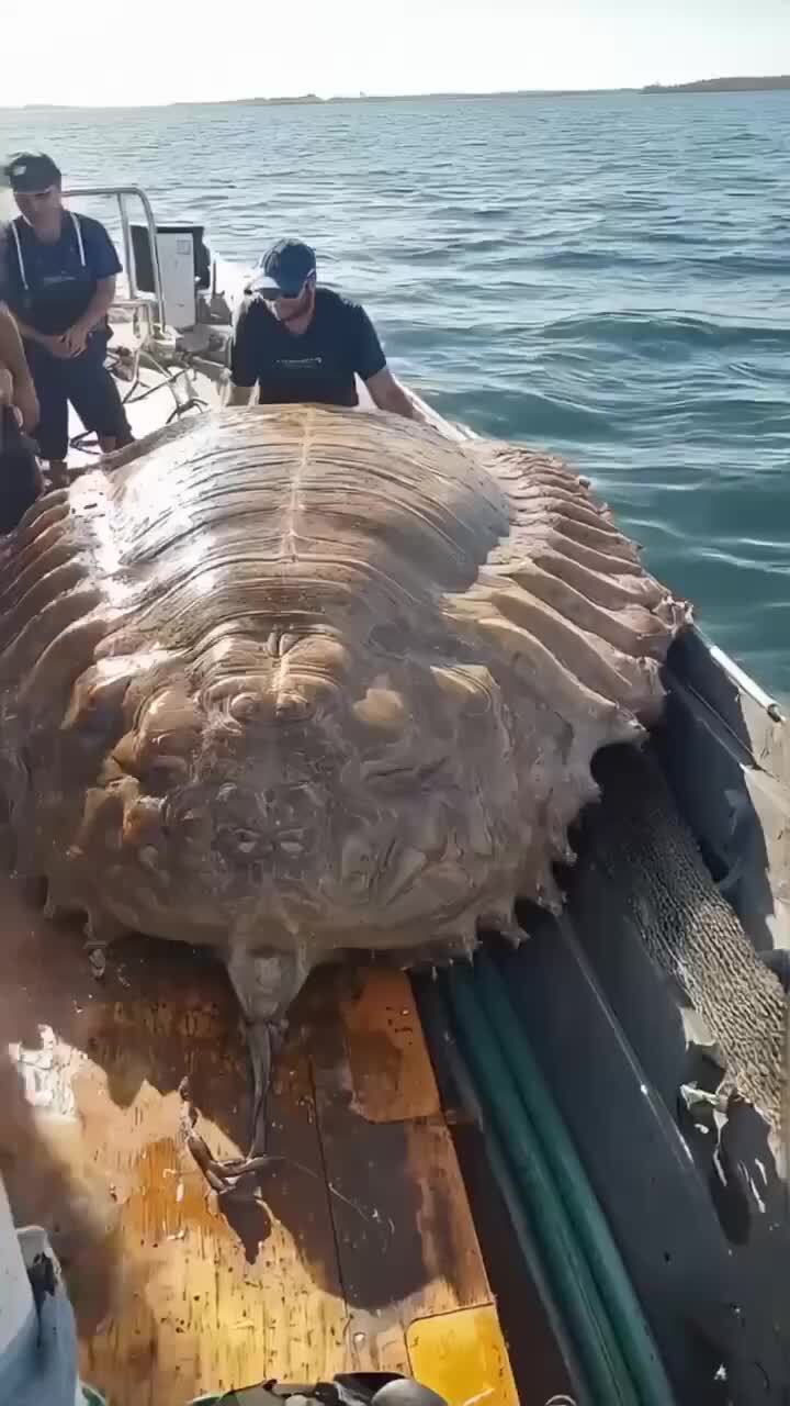 Что ты такое