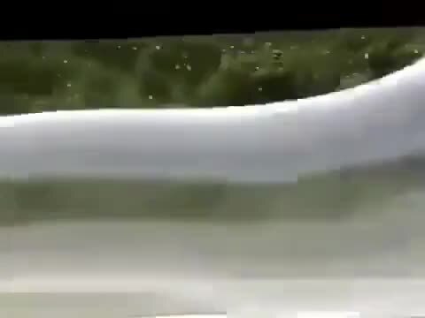 Очередной "научный" эксперимент