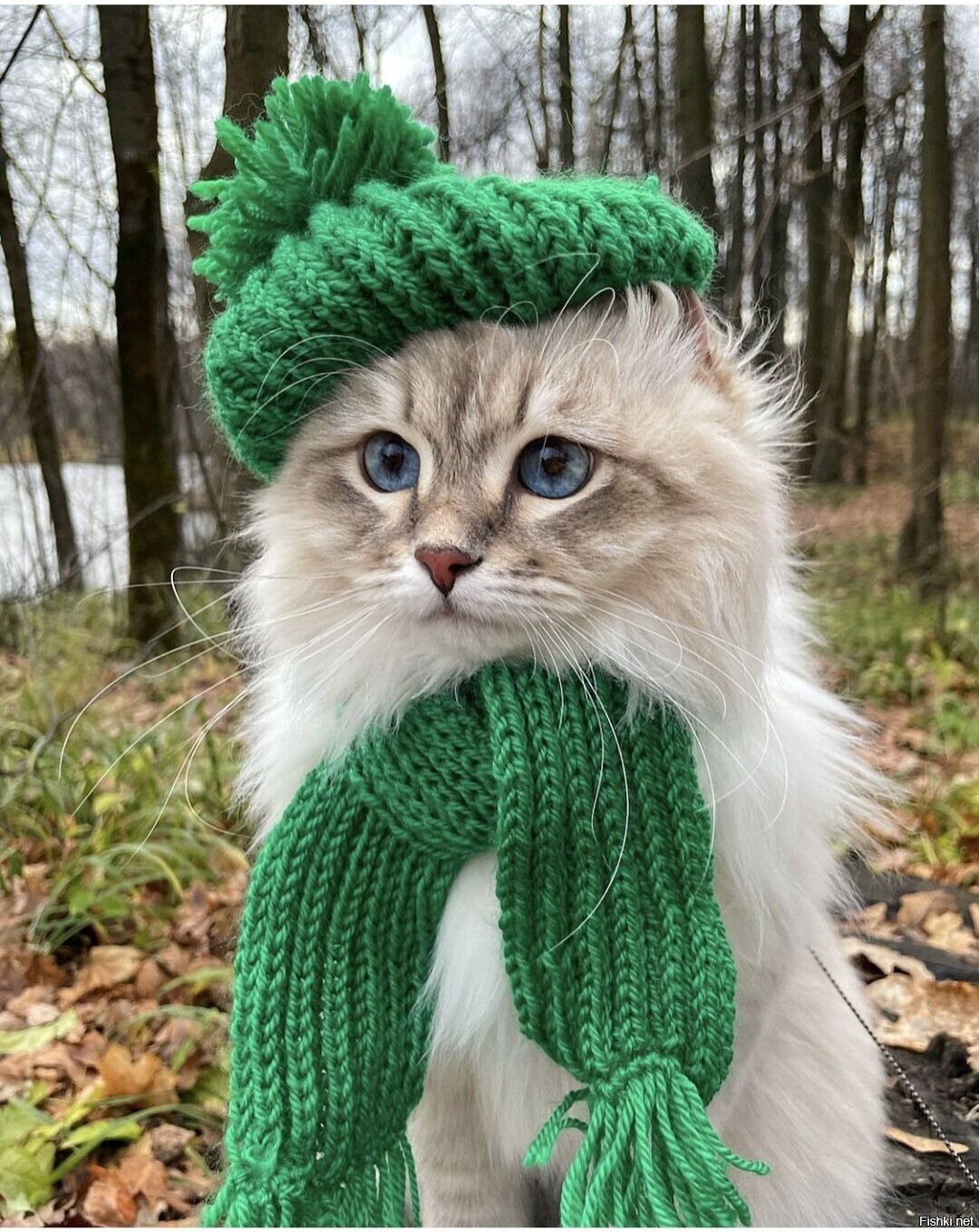 Доброе утро