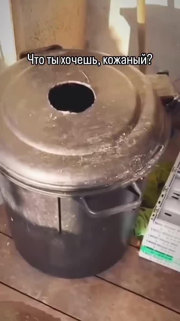 Солянка