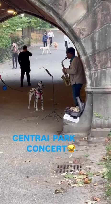 Дуэт)