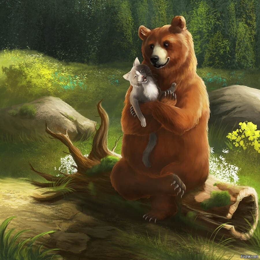 Солянка