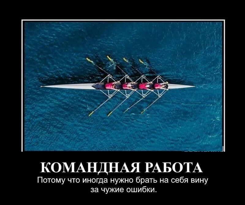 Демотиваторы для отличного настроения: «Командная работа» 