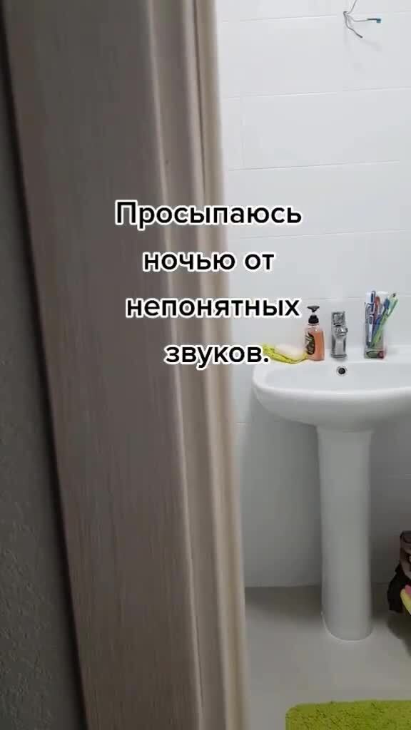 Ночные развлечения)
