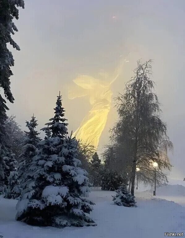 Солянка