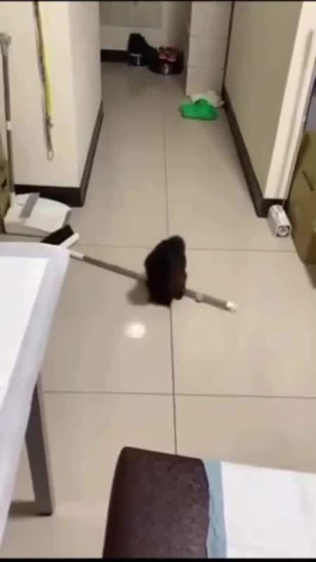 Случилось страшное