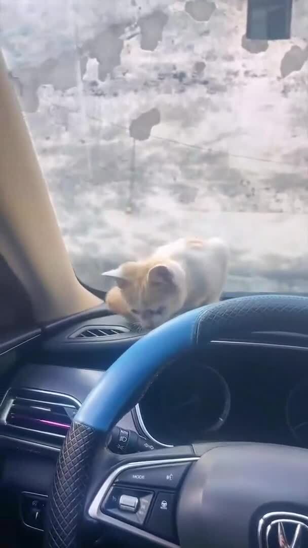 Можно у вас погреться