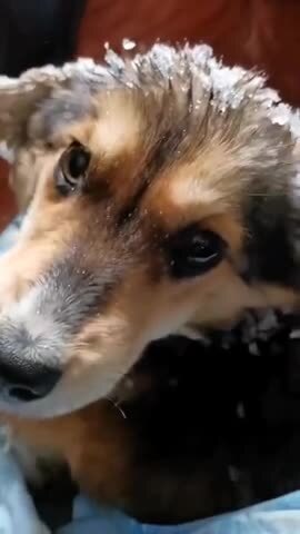 Просто доброе видео