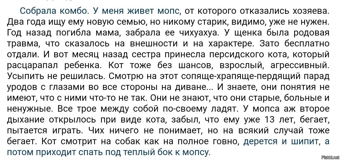 Солянка