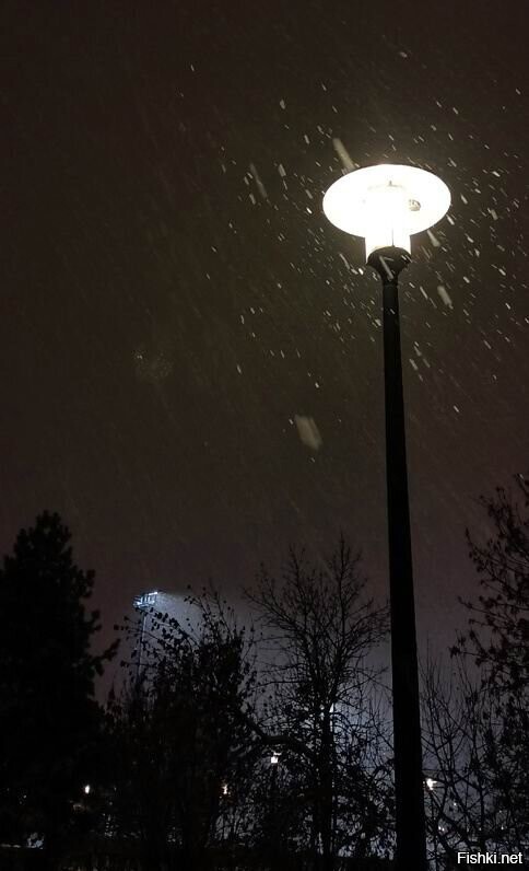 Солянка