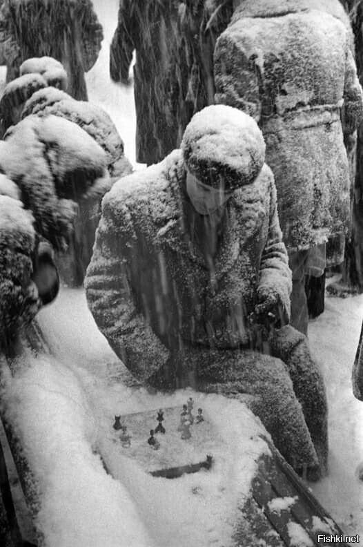 Солянка