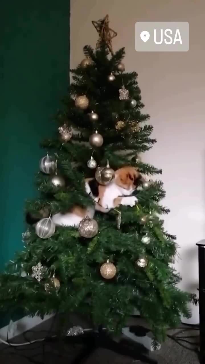 Готовимся, уже скоро