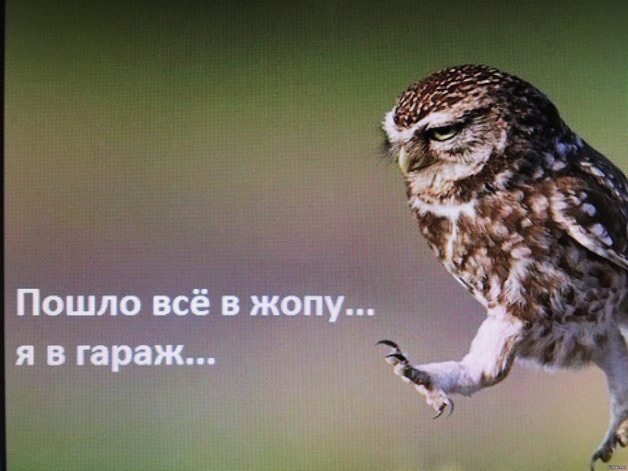 Солянка