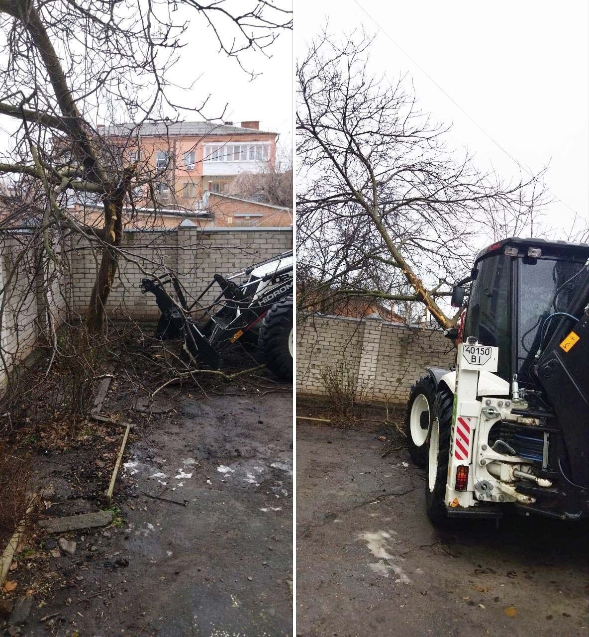 Хохлатый психиатр напал на орех и пострадал