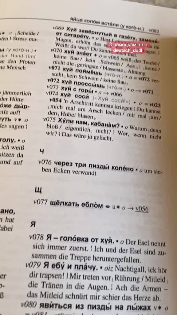 Девушка нашла русско-немецкий словарь, который поможет любому россиянину осво...